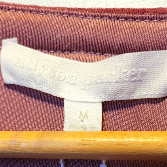 ❤️❤️ Addison Parker Blush Velvet Dress-Nordstrom - Picture 3 of 9